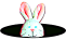 rabbit 3