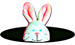 rabbit 3